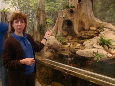Curator Pam Golben explains the estuary habitat