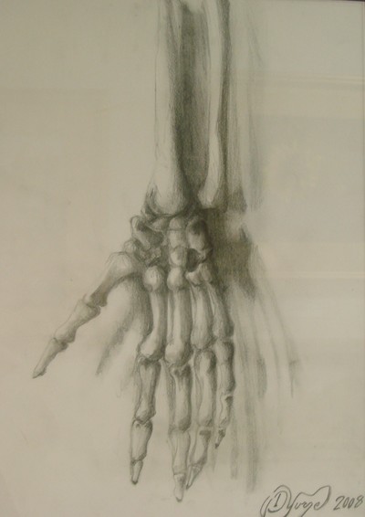 Hand.  Drawing by Daniel Yurgel
