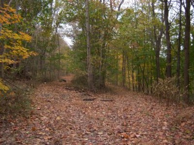 The right fork of the railroad bed goes to Firthcliff carpet mill, the left to Mill Street. 
