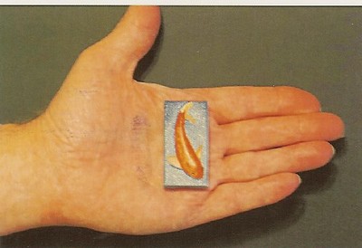 World's Smallest Stretched Canvas