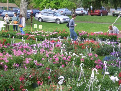 There will be flowers a-plenty at the Garden Club's plant sale on Saturday.