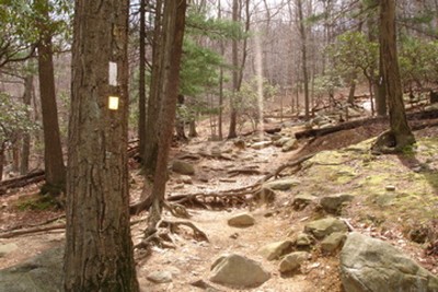 Appalachian Trail at Bear Mountain.