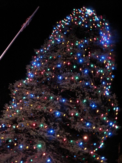 The new lights on the village tree have lots of blue and green bulbs.  Photo by Mikey Jackson.