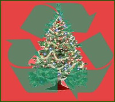 Christmas Tree Recycling