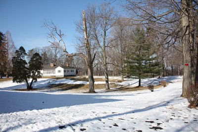 A view of the property on West Street.