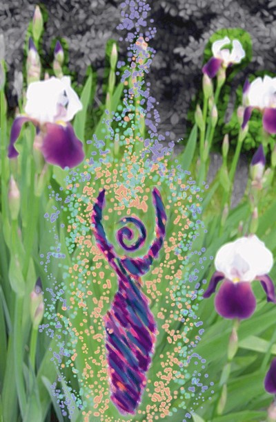 In Full Bloom by Ditto. 