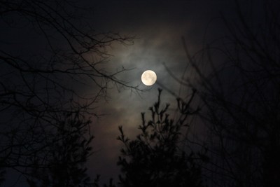 Full Moon photo by Maureen Moore.