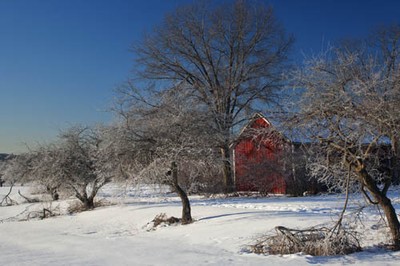 Red Barn on a Frosty Morning.  Photo by Tom Doyle.