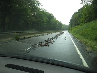 Debris covered Route 9W near Mountain Rd.  Photo by Carole Hunt.