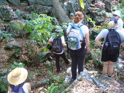 Join the Hudson River Ramble Hikes this weekend.