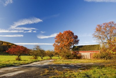 Pasture in Autumn. Photo by Tom Doyle.