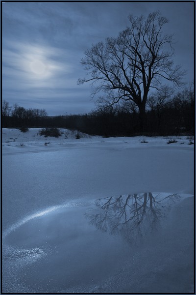 Photo by Tom Doyle. Pond in Moonlight.
