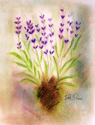 A watercolor by Nita Klein