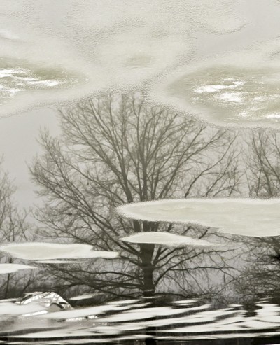 Photo by Mel Kleiman. Reflection in Sands Ring Pond.