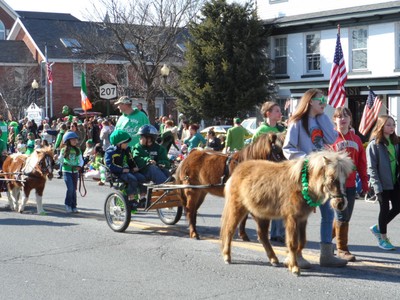 Photo by Jim lennon. St. Patrick's Day Parade 2013, Goshen, NY.