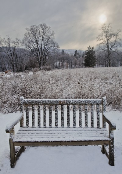 Photo by Tom Doyle. Bench in Winter.