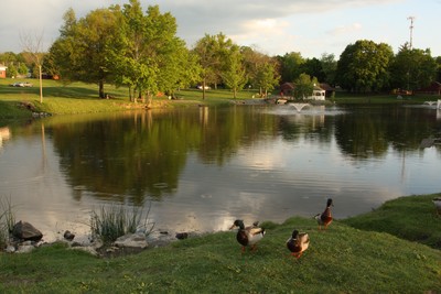Photo by Maureen Moore. Ring's Pond in May.