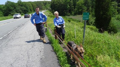Photo by Jim Lennon. Matt Ganz & Handler Penny Sullivan with search K-9 Catana searching along the area of Long Path.
