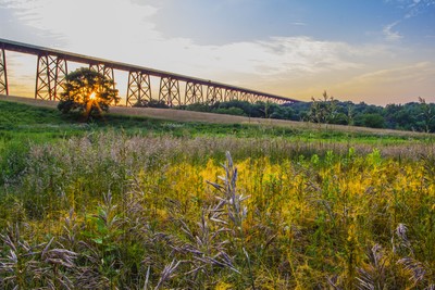Photo by Maureen Moore. Summer in the Valley, Trestle.