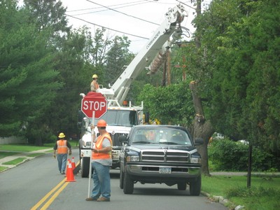 Central Hudson crew removes tree limbs