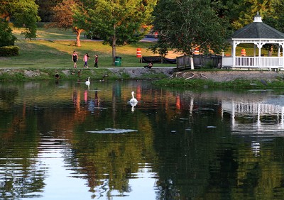 Photo by Kathy Eastwood. Rings Pond in July.