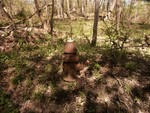An abandoned fire hydrant