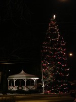 The spruce tree fully lighted.