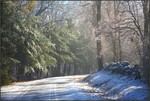 Into a Snowy Wood by Tom Doyle