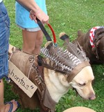 Puppahontas won Best Costume in the large dog category.