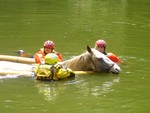 Inflated hoses were used to get the horse out of the water.