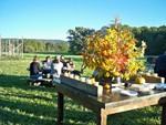 The gardeners gathered for a meal by the community plots. Photo by Jaci Canning Murphy.