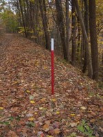 Utility markers along the way (gas lines).