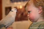 Meet the Animals Face-to-Face
