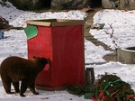 Watch the bears open their presents.