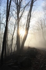 Burning off the fog.  Photo by Karen Schaack.