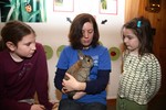 Learn about rabbits at the Nature Museum