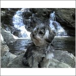 Abbey's Secret Waterfall.  Photo by Karen Schaack.