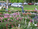 There will be flowers a-plenty at the Garden Club's plant sale on Saturday.