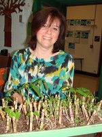 Mrs. Panzanaro holds the tray full of tiny plants grown from seed by the students.