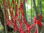 The red-knotted web by Meghan Sheldon-Brungard greets visitors to the woods.  Photo by Carolyn Turgeon.