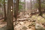 Appalachian Trail at Bear Mountain.
