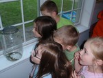 This jar of bugs fascinated the children.