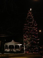 The village decided to light the towering spruce tree again.