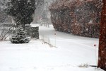 December 31, 2009 on Cornwall Avenue.  Photo by Jonathan Dunaief.