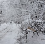 Broken branches, fallen wires and heavy snow in the roadway made this clean up costly.