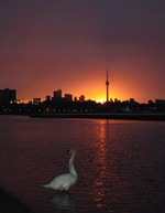 Toronto Sunrise.  Photo by Karen Schaack.