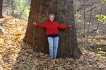 Susan Glendening stands at the base of the largest tree in Cornwall, a giant sycamore in the village that has a circumference of 212 inches.