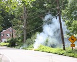 The fire's proximity to the roadway meant the road had to be closed to traffic.