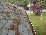 Poorly maintained gutters and old tires can become mosquito breeding grounds.