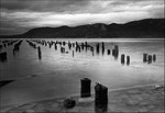 Waiting for the Ferry.  Photo by Mel Kleiman.